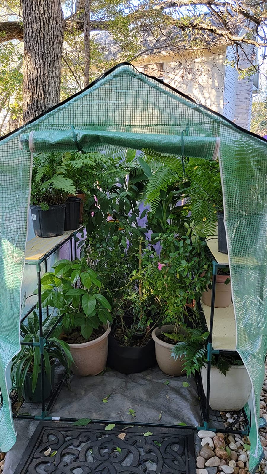 Ohuhu Small Greenhouse for Outdoors: 4 Tiers 6 Shelves Walk-in Indoor Green House Heavy Duty Plant Stands Reinforced Plastic PVC Cover Mini Portable Warm House for Outside, 4.8x2.5x6.4 FT customer photo 2