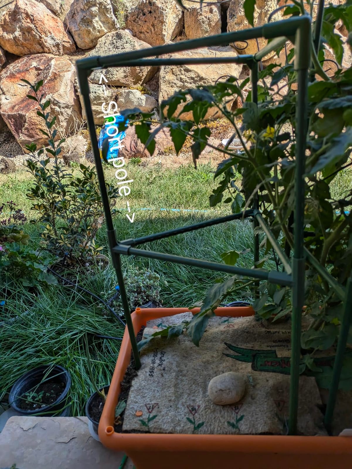 Cucumber Trellis for Raised Beds, 45 x 53 Inch Adjustable Size A-Frame Garden Trellis for Climbing Plant Outdoors with Climbing Net and Plant Support Clip for Vegetable Grape Tomato Bean Pea customer photo 2