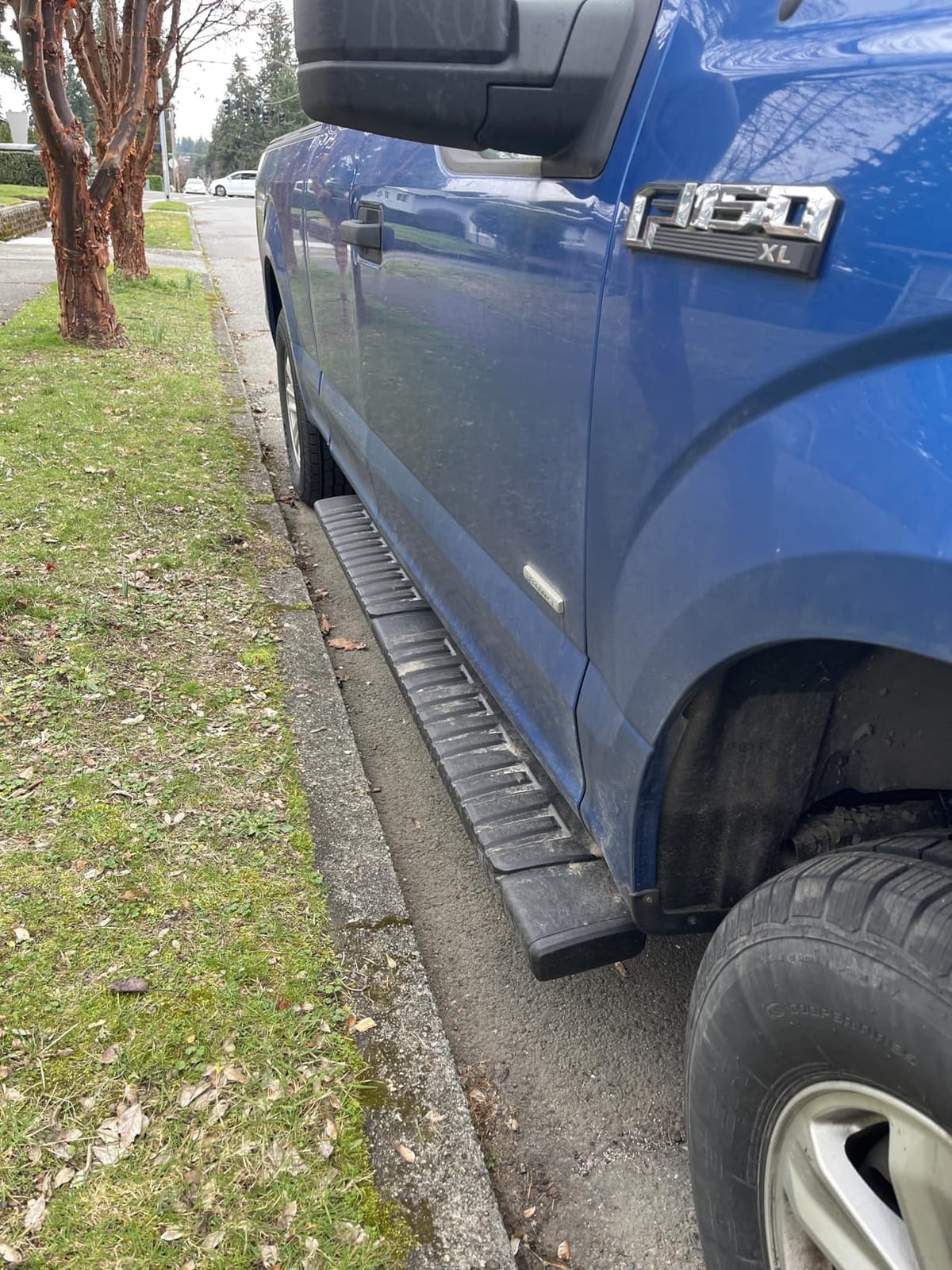 Running Boards for 15-26 Ford F-150 & 17-26 F250 Super Duty SuperCrew Cab customer photo 1