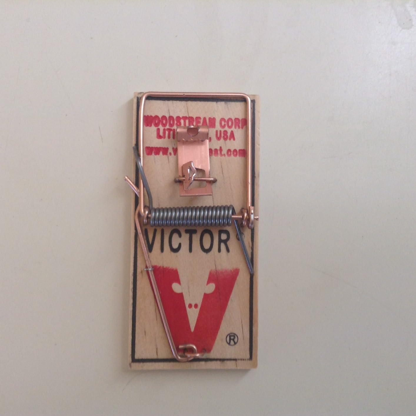 Victor Metal Pedal Mouse Traps, 12-Pack, Reusable Wooden Snap Traps customer photo 1