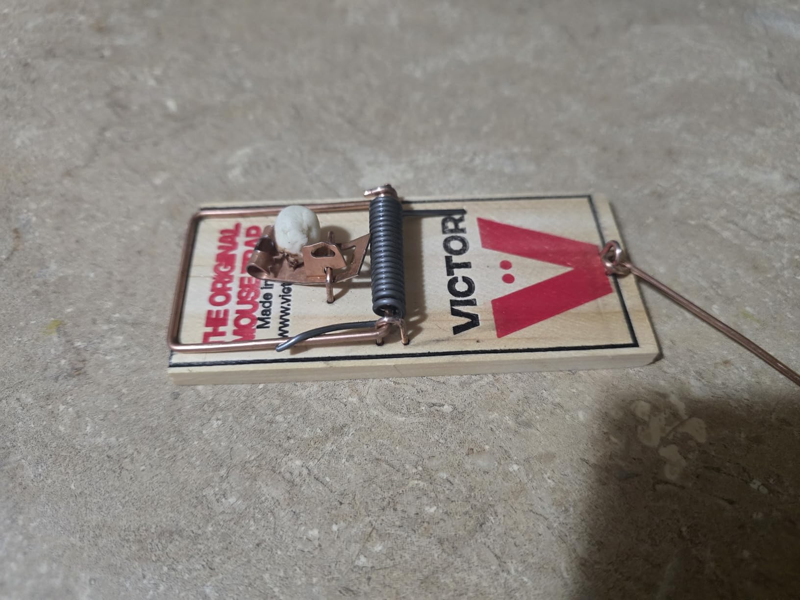 Victor Metal Pedal Mouse Traps, 12-Pack, Reusable Wooden Snap Traps customer photo 2