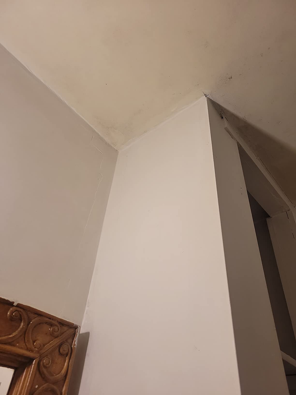 Zinsser WaterTite LX Ultra White Waterproofing Paint customer photo 1