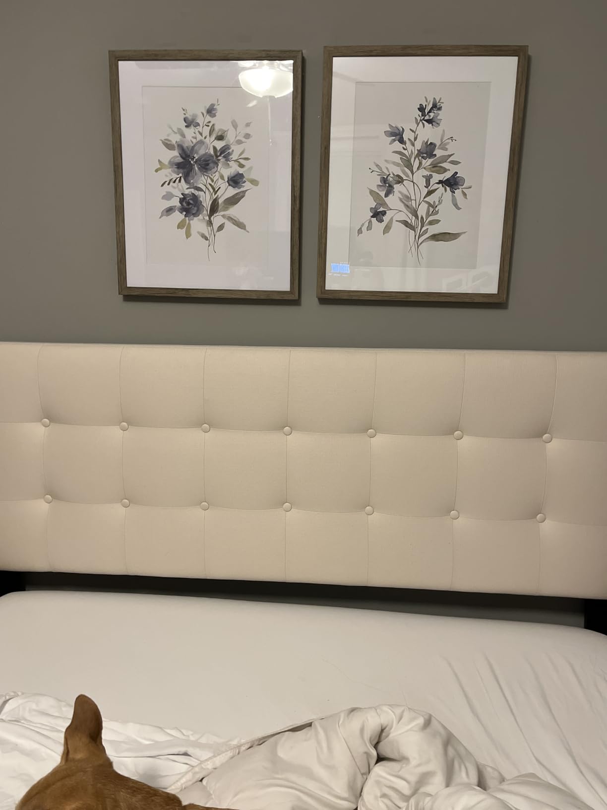 Zinus 12 Inch Queen Cooling Essential Memory Foam Mattress, Medium Feel customer photo 1