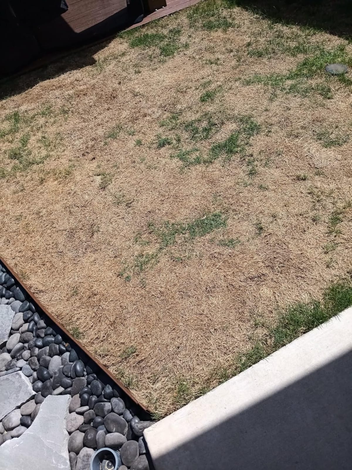0-0-7 Granular Prodiamine Pre-Emergent Herbicide Fertilizer - 45lbs Covers 15,000 sq ft at 3 lbs/1,000 sq ft - Great for preventing crabgrass, POA annua (Annual Bluegrass), and More customer photo 1
