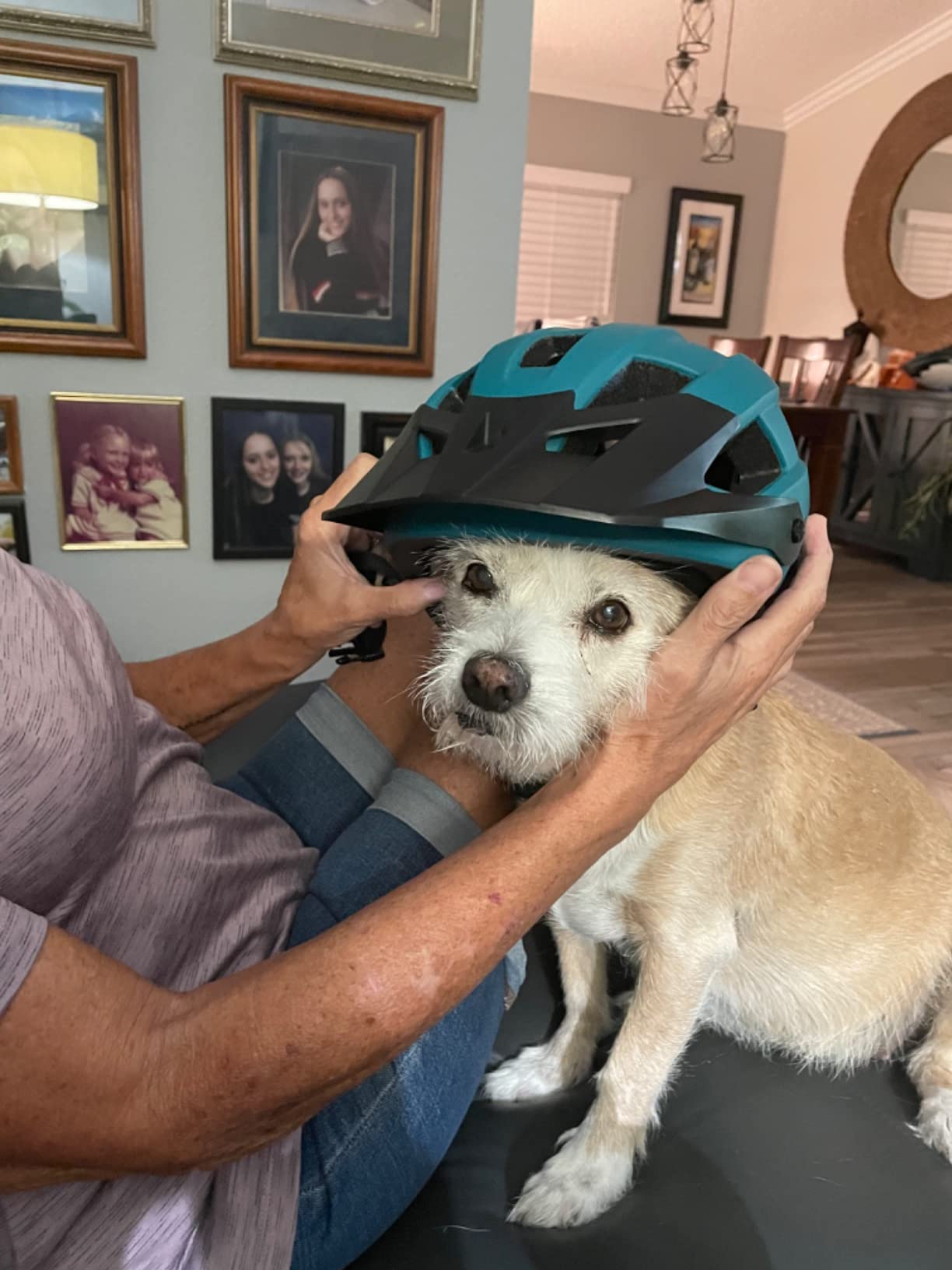 Retrospec Rowan Mountain Bike Helmet with Adjustable ErgoKnob Fit System - 14 Ventilation Ports, Removable Visor & EPS Foam Interior - Lightweight MTB Protection customer photo 1