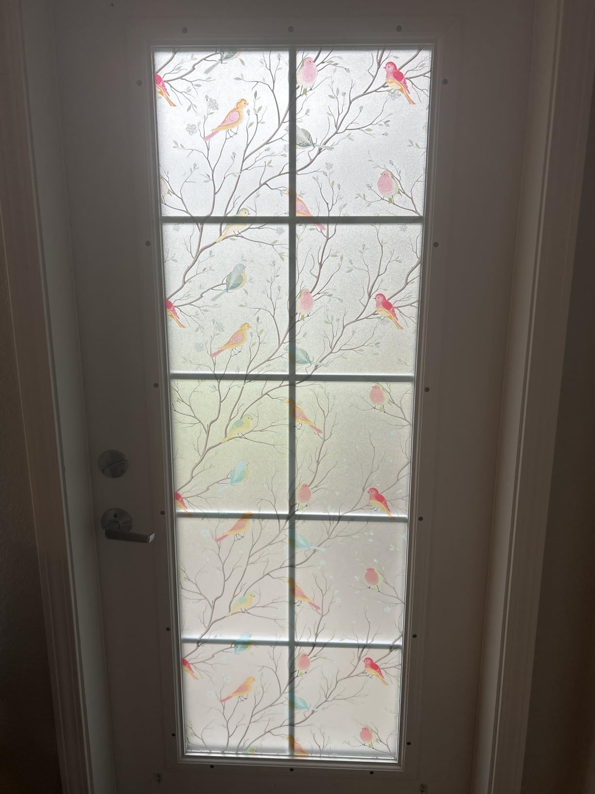 Coavas One Way Window Privacy Film, See Out Not in, Heat & UV, 17.5