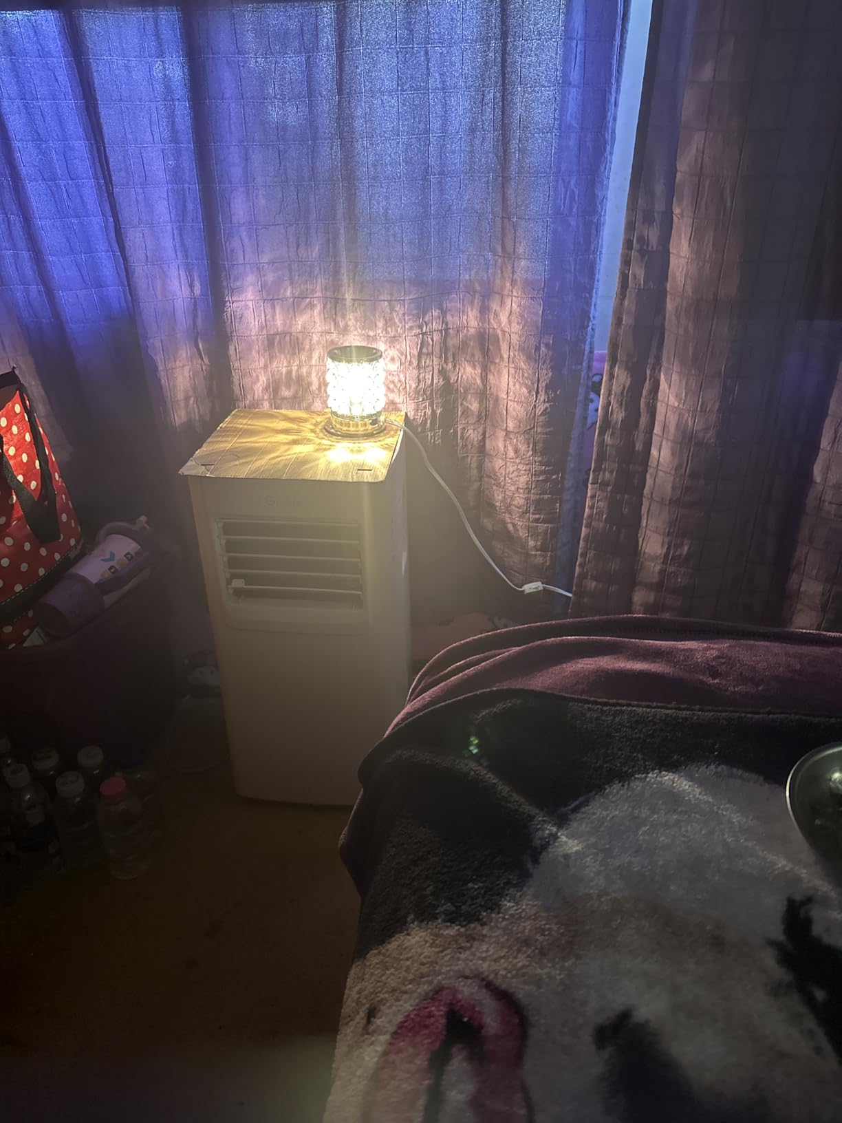 Leyoue Wax Warmer, Crystal Wax Melt Warmer with Bulb Heating customer photo 2