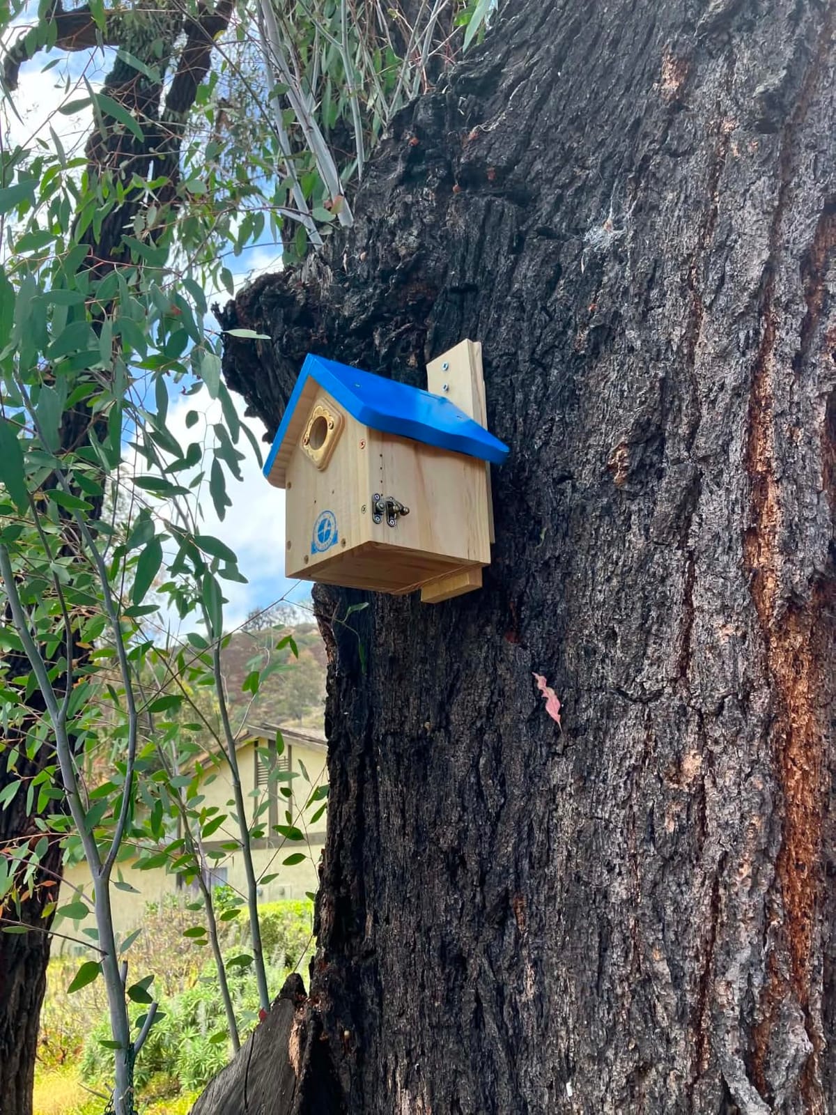 SISTERBIRD Wren Bird Houses for Outside, Bird House Warming Gifts, Blue customer photo 2