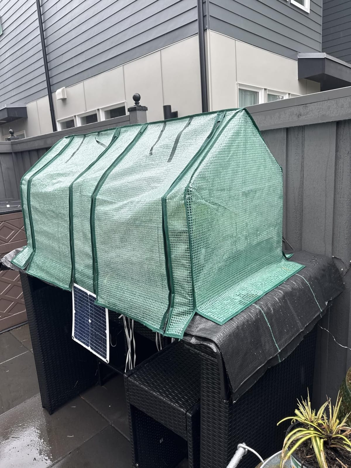 U'Artlines Portable Mini Greenhouse Small Green House 23x13x17 Inch customer photo 1