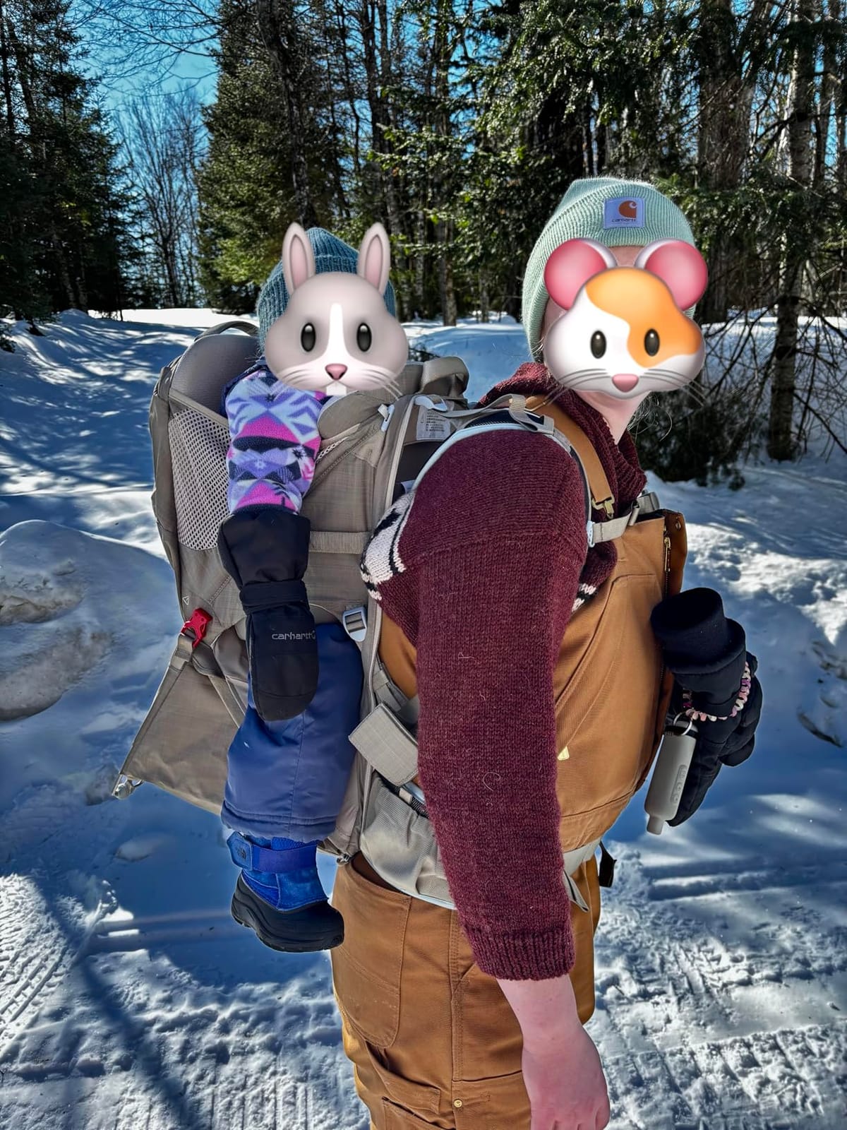 Osprey Poco LT Lightweight Child Carrier Backpack - Compact, Travel-Ready Kid Carrier with Sunshade and Adjustable Fit - Lightweight, Comfortable Hiking Carrier for Toddlers customer photo 2