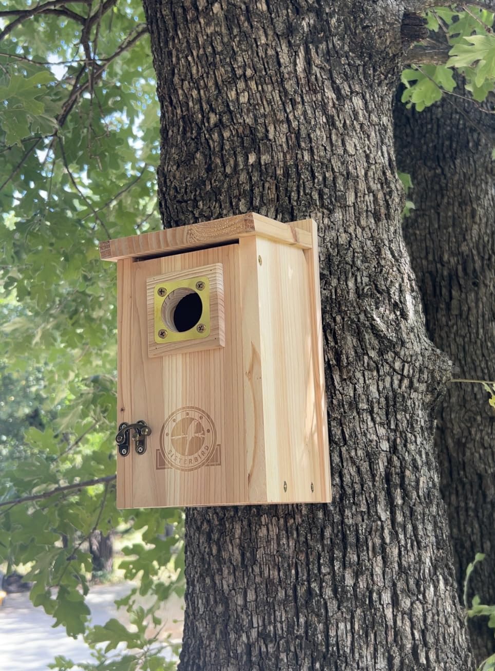 SISTERBIRD 2 Pack Bluebird Houses for Outside, Warming Gifts Bluebird House customer photo 2