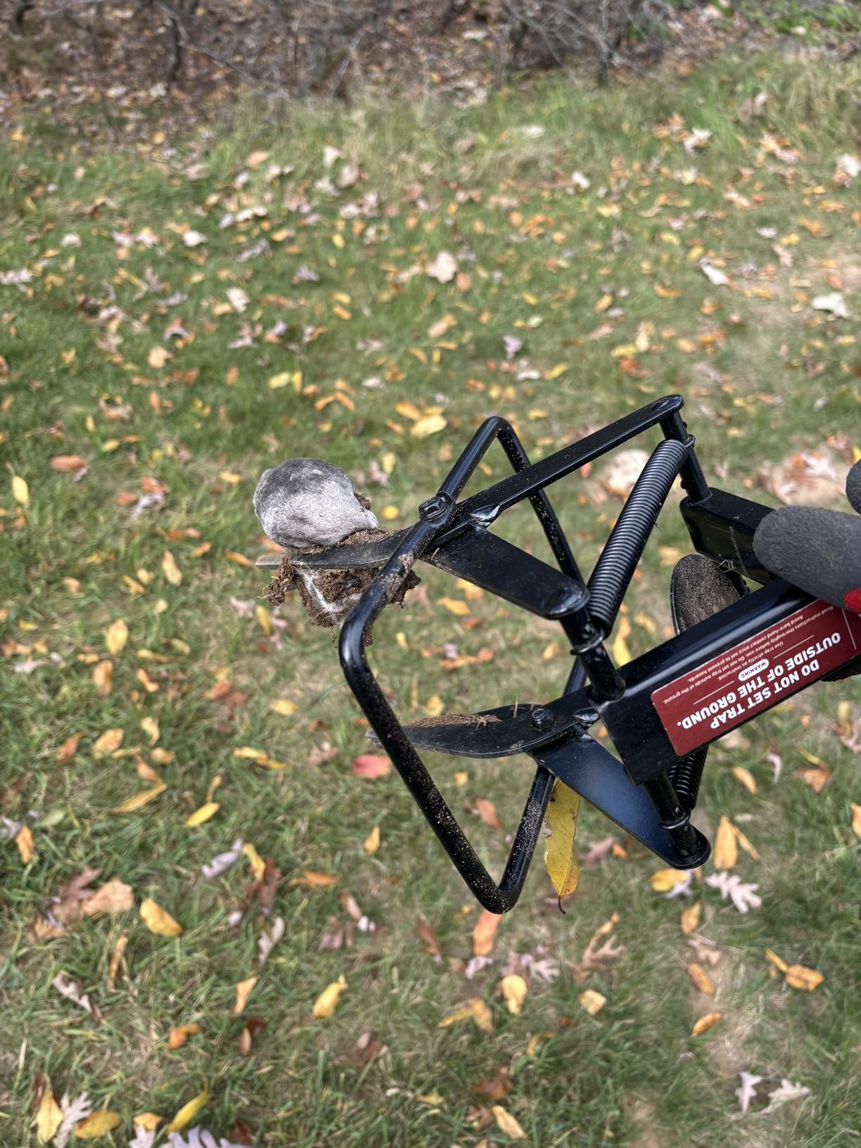 Mole Traps 2 Pack, Scissor Mole Trap that Kill Best for Lawns Ground，Black customer photo 1