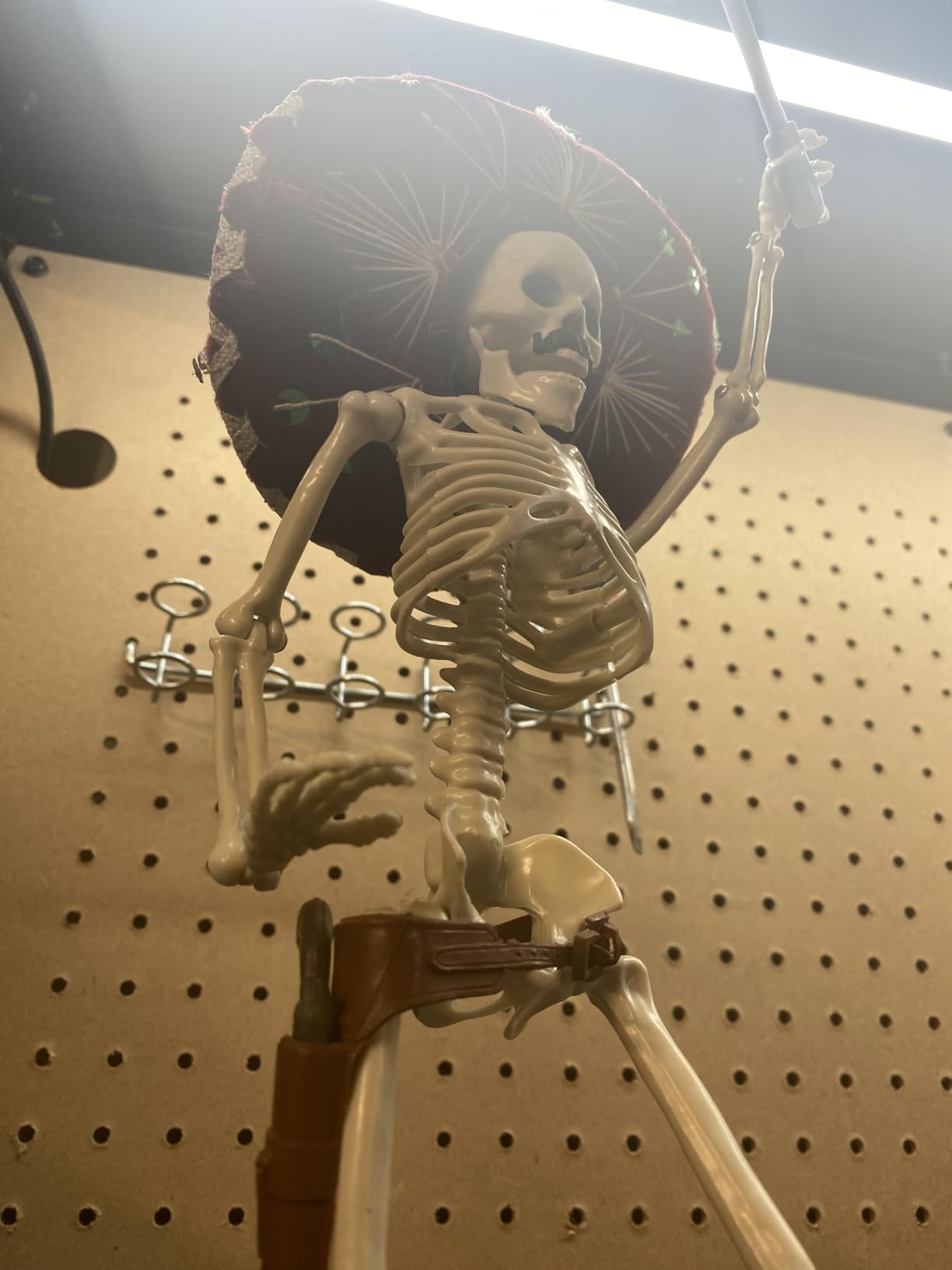 5.4Ft Posable Halloween Skeleton with Dog Cat Skeleton for Halloween Decor customer photo 1