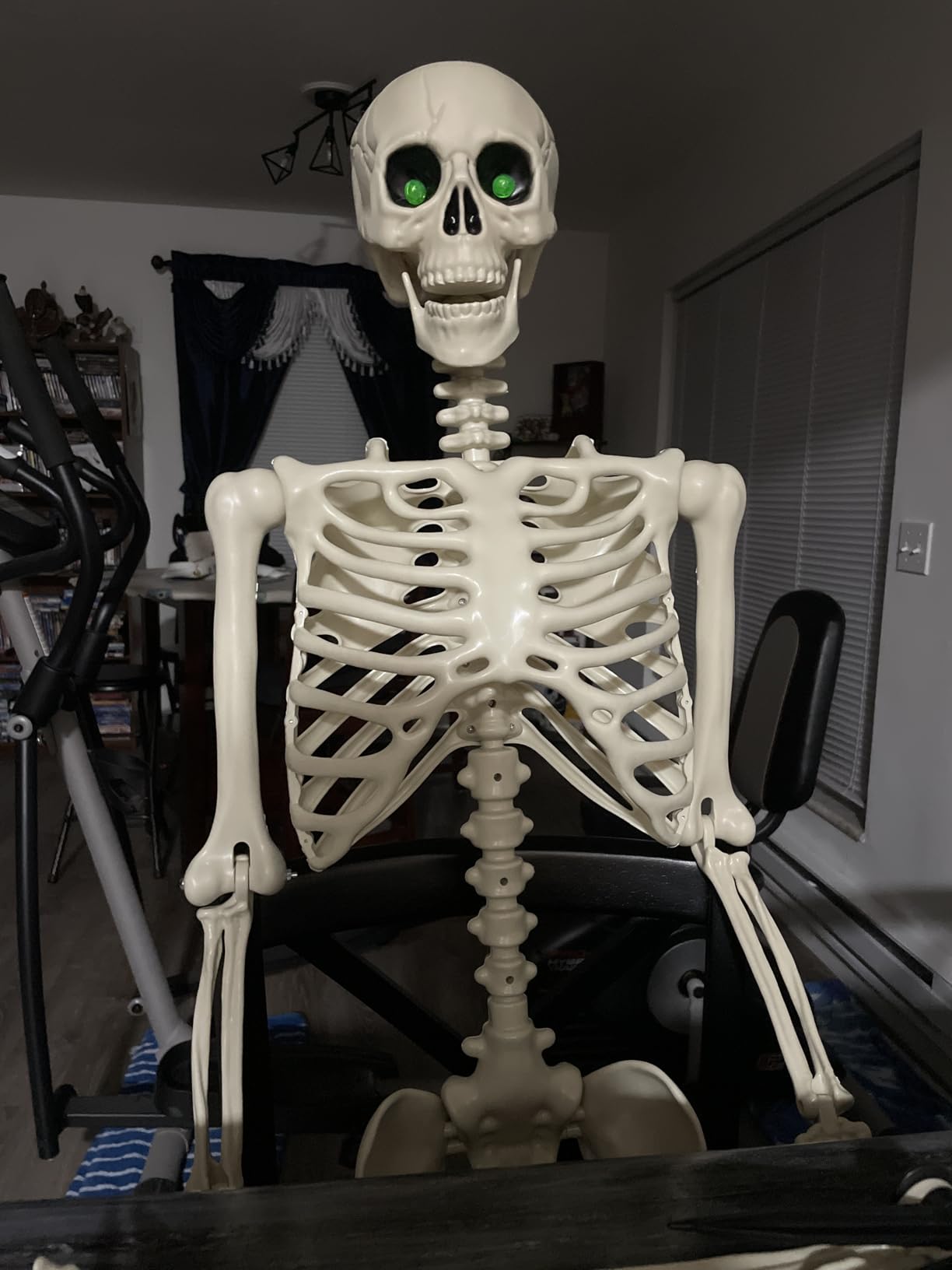 5.4Ft Posable Halloween Skeleton with Dog Cat Skeleton for Halloween Decor customer photo 2