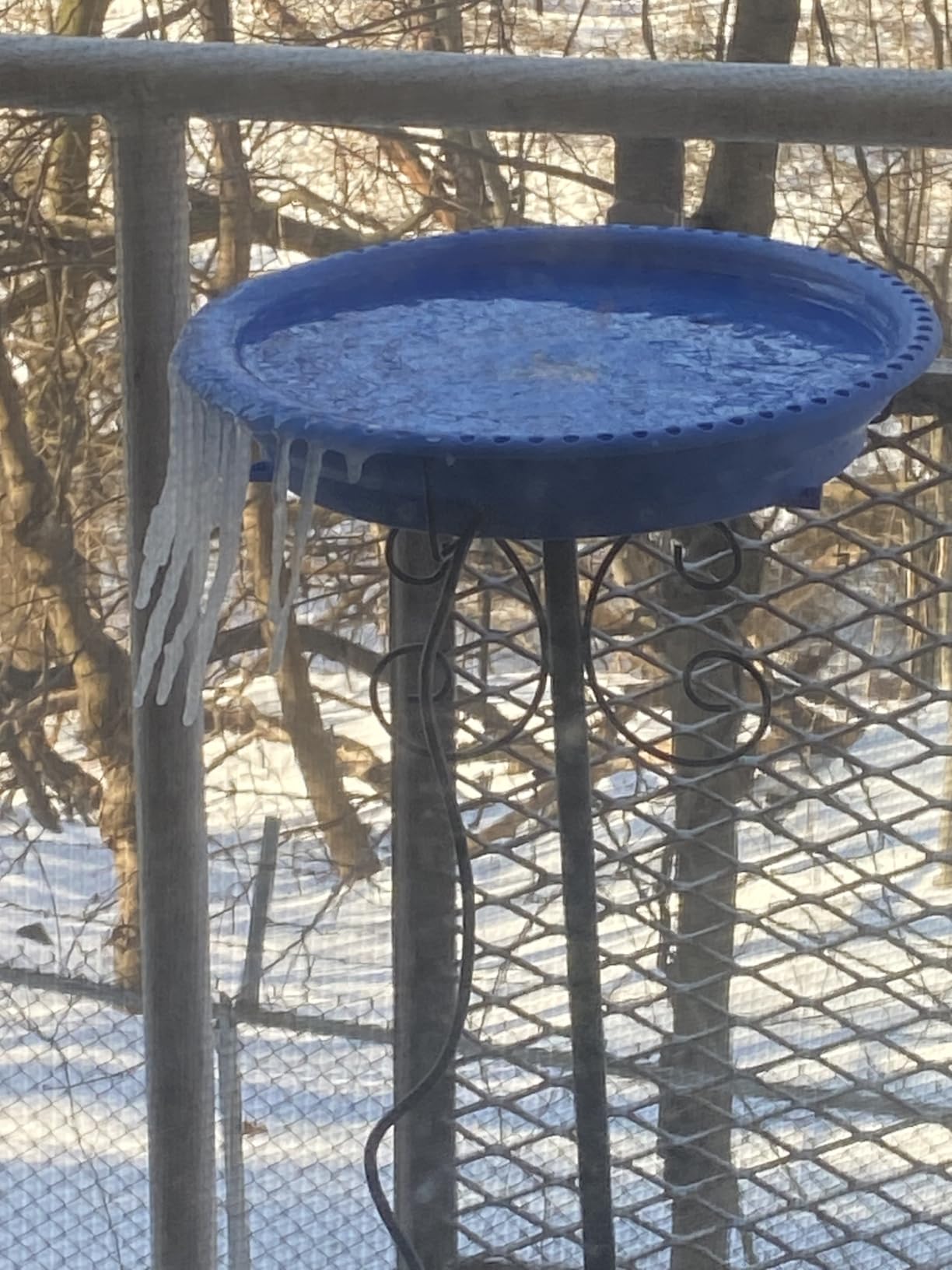 Daoeny 100W Heated Bird Baths for Outdoors, Winter Heated Birdbath, Blue customer photo 2