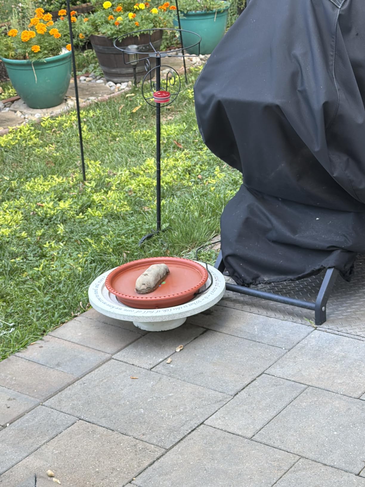 Daoeny Heated Bird Bath for Deck Railing, Upgraded 100W Heated Bird Baths for Outdoors Thermostat Control, Heated Bird Bath for Outside Winter Garden Yard Patio Decor (Grey) customer photo 2