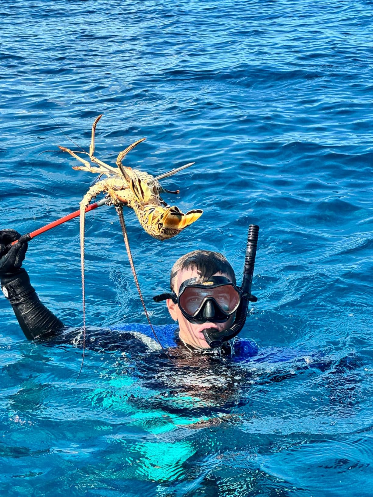 Spearfishing Pole Hawaiian Sling Fishing Spear Set Fiberglass Pole Spear Harpoon Spearfishing Gear customer photo 1