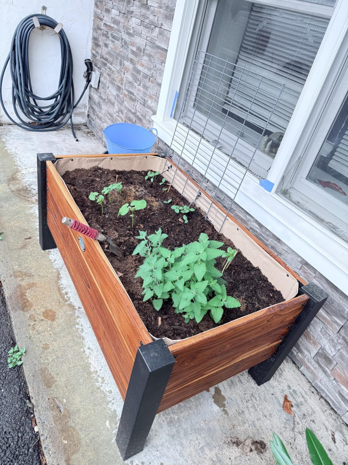 Miracle-Gro Organic Outdoor Potting Mix, 16 qt. customer photo 2