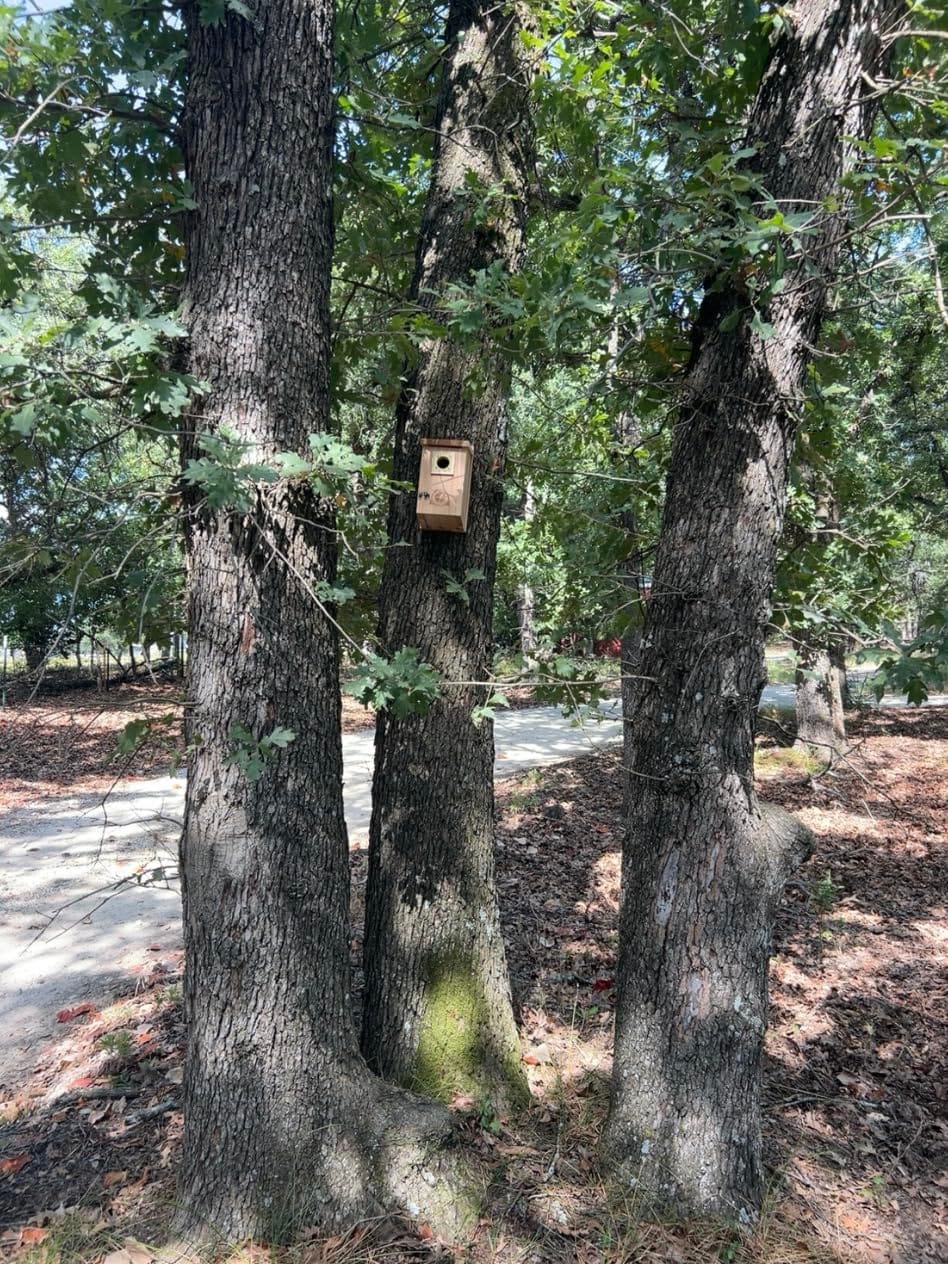 SISTERBIRD 2 Pack Blue Bird Houses for Outdoors, Warming Gifts Bird House customer photo 1