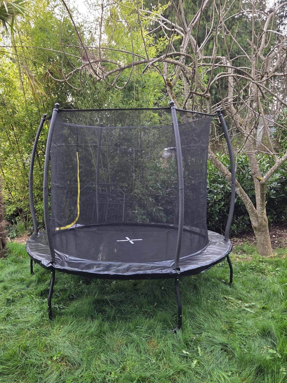YUMPIE 8FT 10FT 12FT 14FT 16FT Quick-Connect Outdoor Trampoline with Ladder customer photo 1