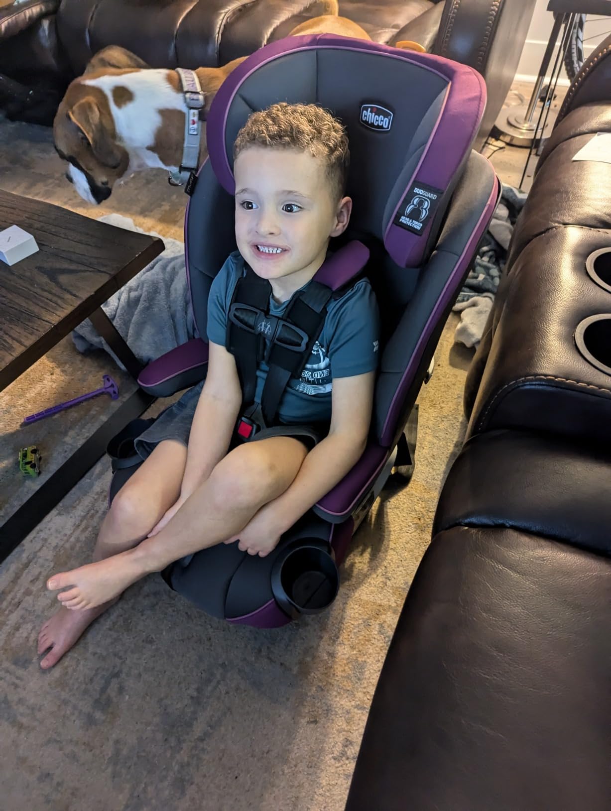 Chicco MyFit Harness + Booster Car Seat, 5-Point Harness and High Back Seat customer photo 1