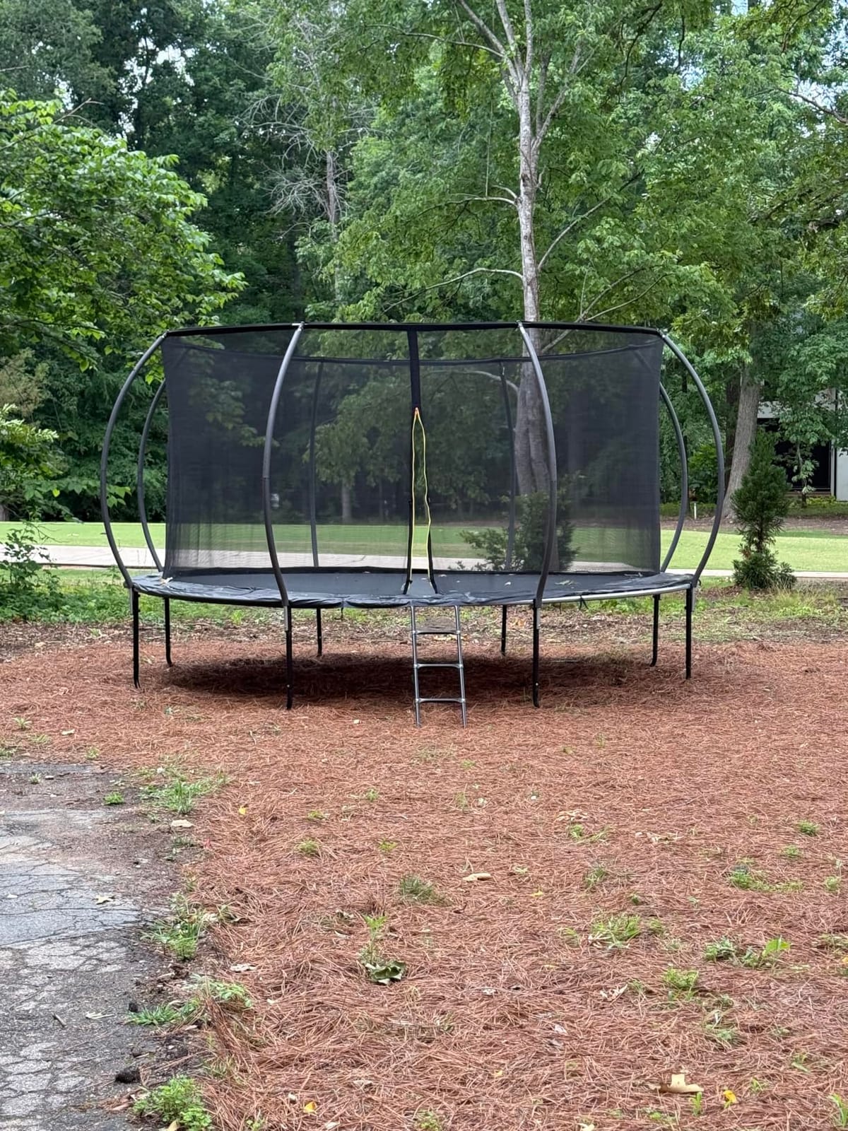 Gigu 10FT 12FT 14FT 15FT 16FT Recreational Trampolines with Enclosure Net and Ladder and Anti-Rust Coating, ASTM Approved Trampoline Outdoor for Kids and Adults customer photo 2