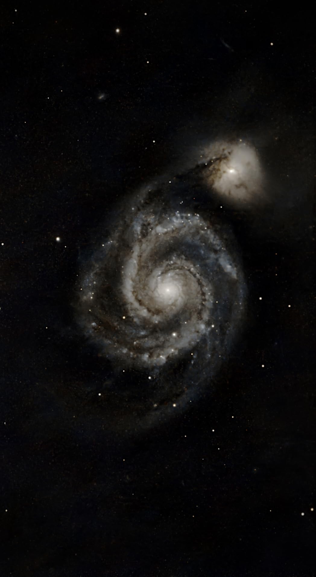 SVBONY MK127 Telescope for Adults, 127mm Aperture f/11.8 Mak Telescope OTA customer photo 2