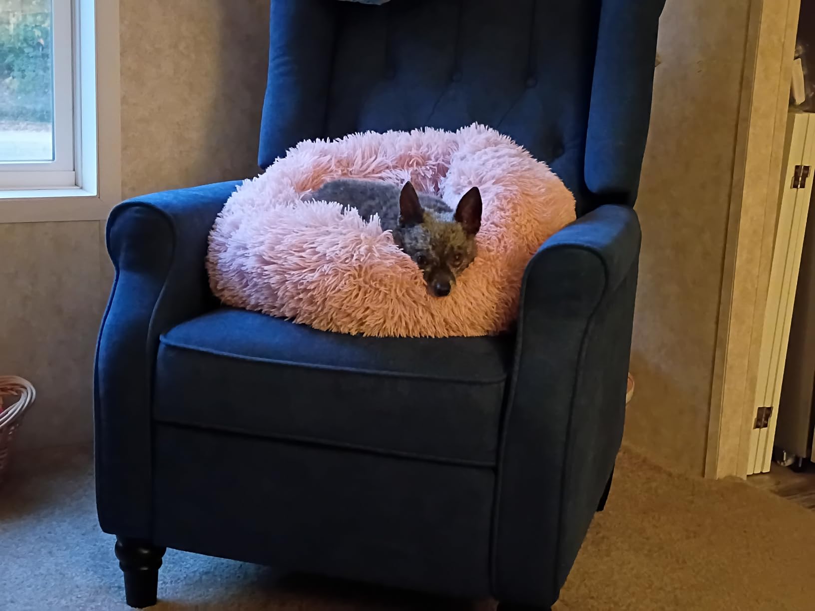 Bonzy Home Wingback Pushback Recliner Chair, Blue customer photo 1