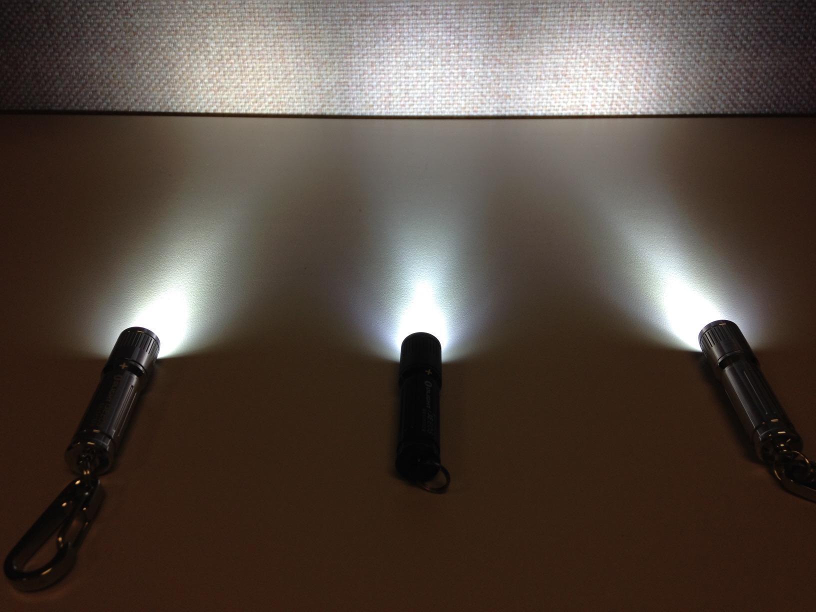 OLIGHT i3E EOS Compact Keychain Flashlight EDC Light (Summer Palm) customer photo 2
