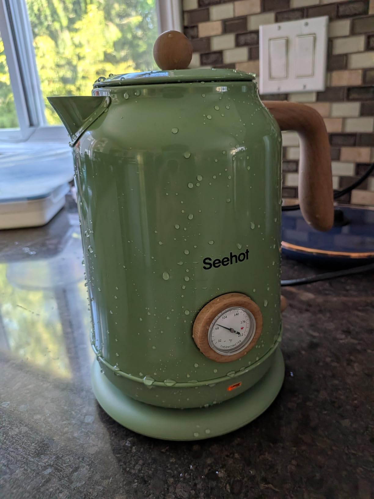 Electric Kettle With Thermometer, 1.7L 1200W, Green | Auto shutoff, boil-dry protection, water-contact stainless steel, cordless base for coffee and tea customer photo 1
