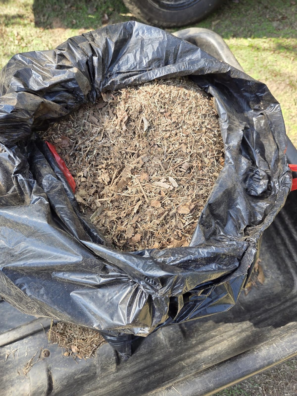 Electric Leaf Mulcher/Shredder: DEKOPRO 15-Amp 8200RPM Motor for 17:1 Reduction Ratio, Adjustable Control Dia with Leaf Scoops Spade, Collection Bag & 20 Cutting Lines customer photo 2