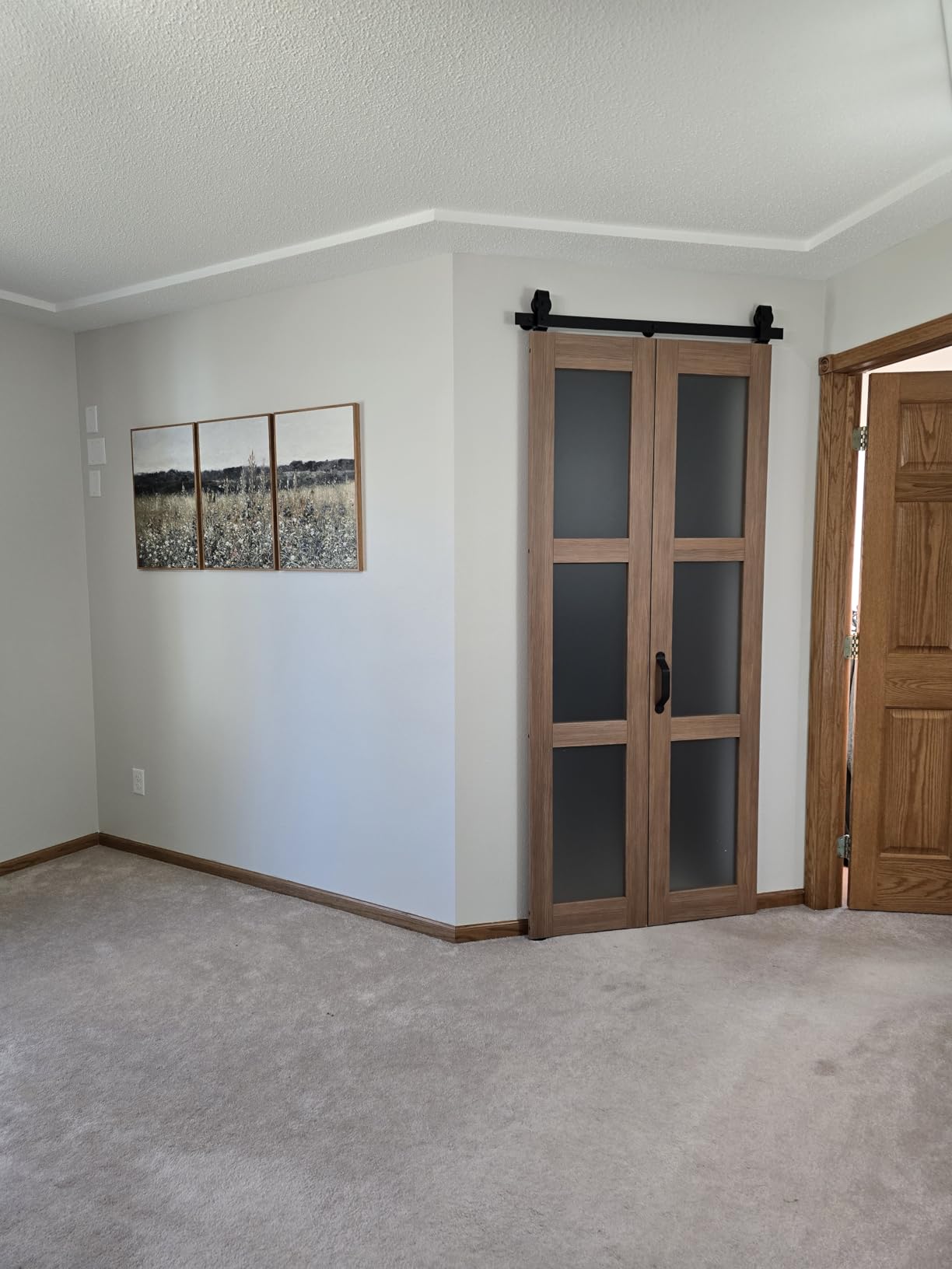 FREDBECK Bifold Barn Door Frosted Glass 30X84(Double 15x84) Brown,3 Panels customer photo 2