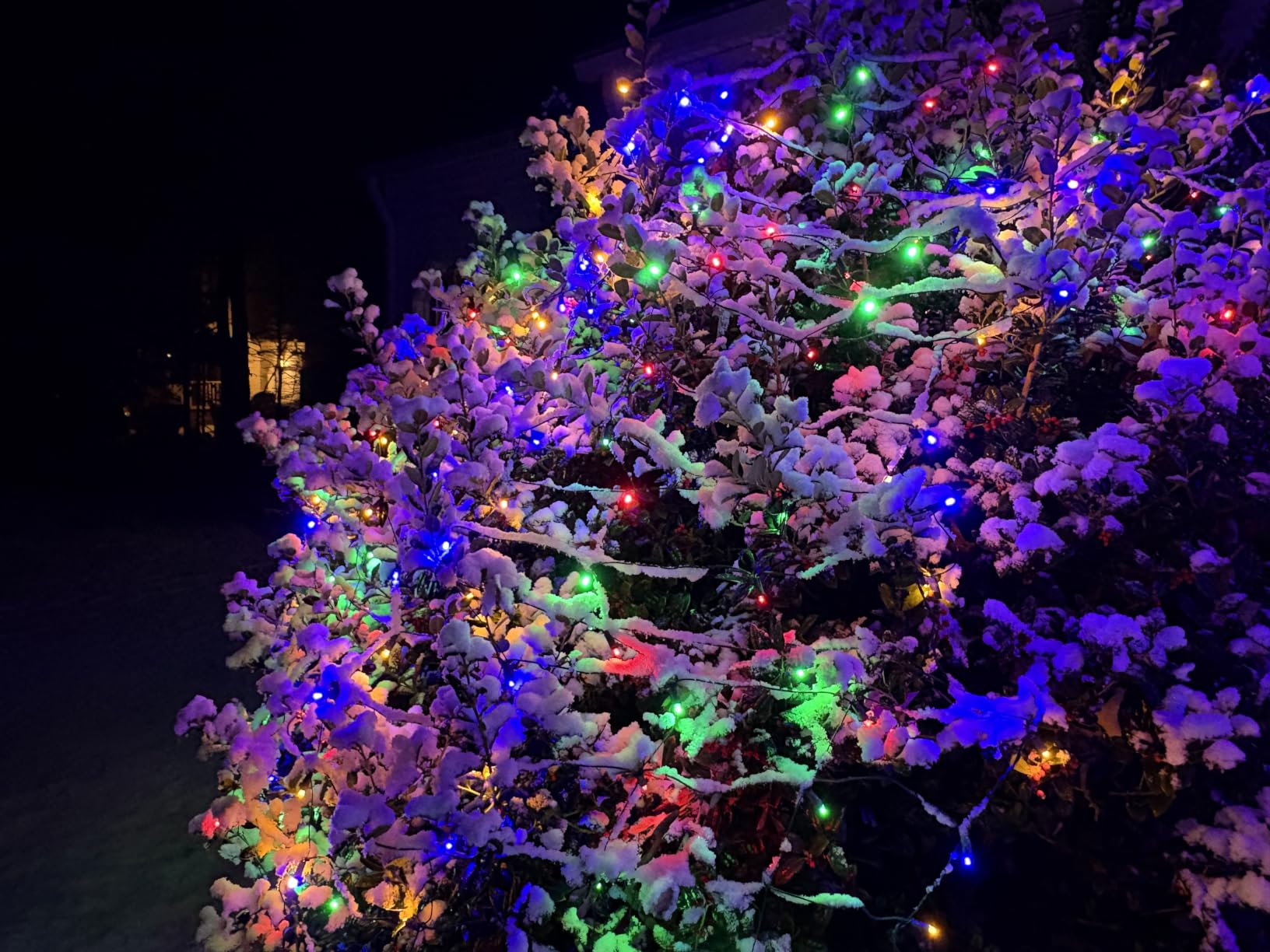 Led Net Lights Christmas Lights Outdoor 200Led 9 ftx 6ft Upgraded WarmWhite Christmas Net Lighting, Waterproof 5mm LED Wide Angle Outdoor Indoor Mesh Net Light for Trees, Bushes, Shrubs Decorations customer photo 1