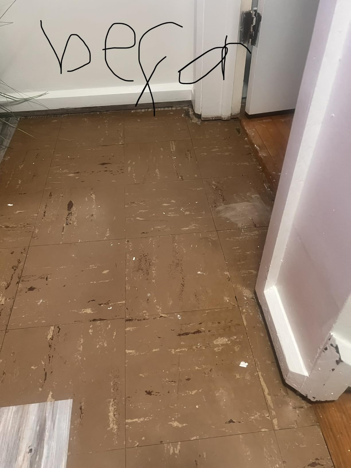 Wood Grain Peel and Stick Floor Tiles 11.8
