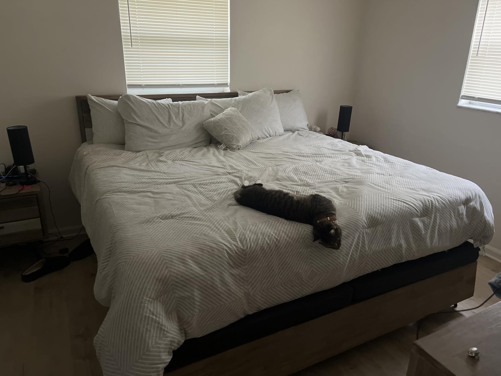 Queen Size 12 Inch Memory Foam Mattress, Colchón Queen Mattress in a Box customer photo 2