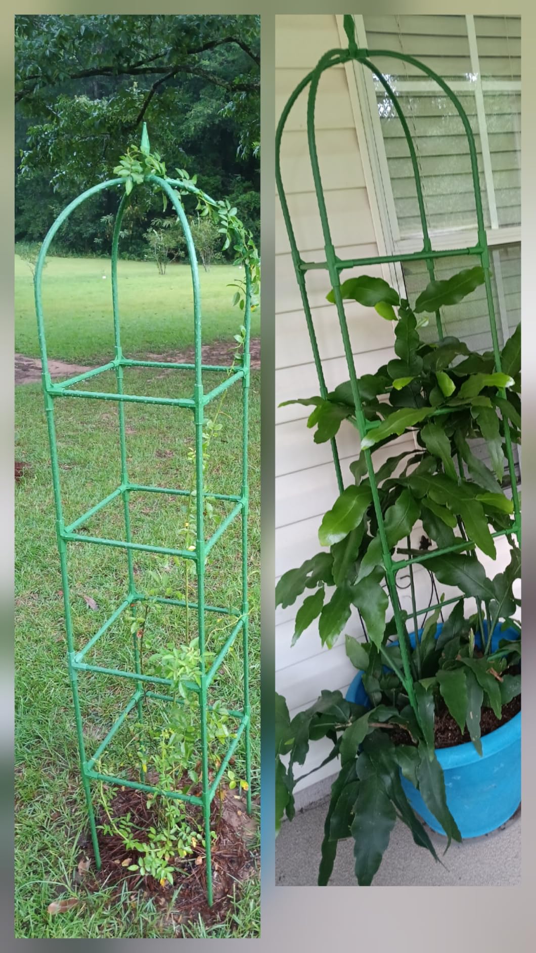 2 Pack Garden Obelisk Trellis for Climbing Plants, 71