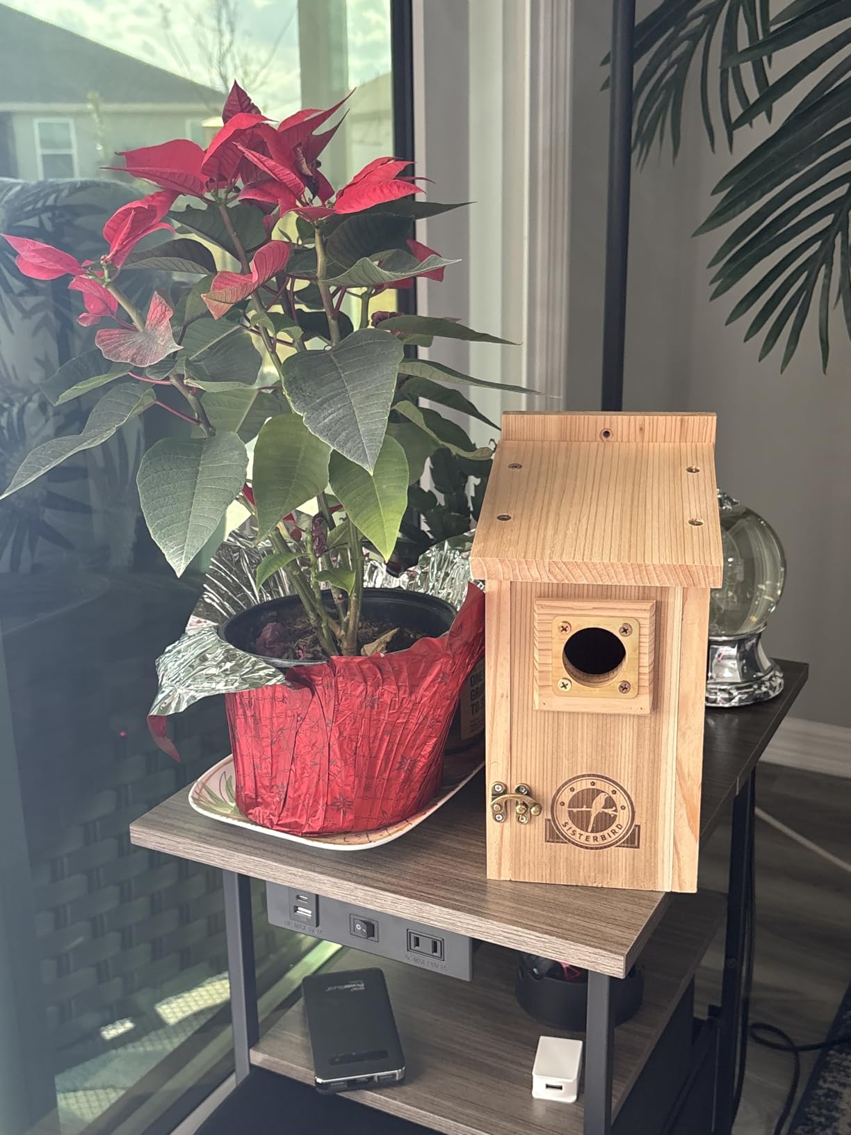 Bird Houses for Outside Clearance with Copper Guard, Pine Bird House Outdoor, Bluebird Finch Swallow Wren Chickadee No Assembly Required, 1 Pack customer photo 1