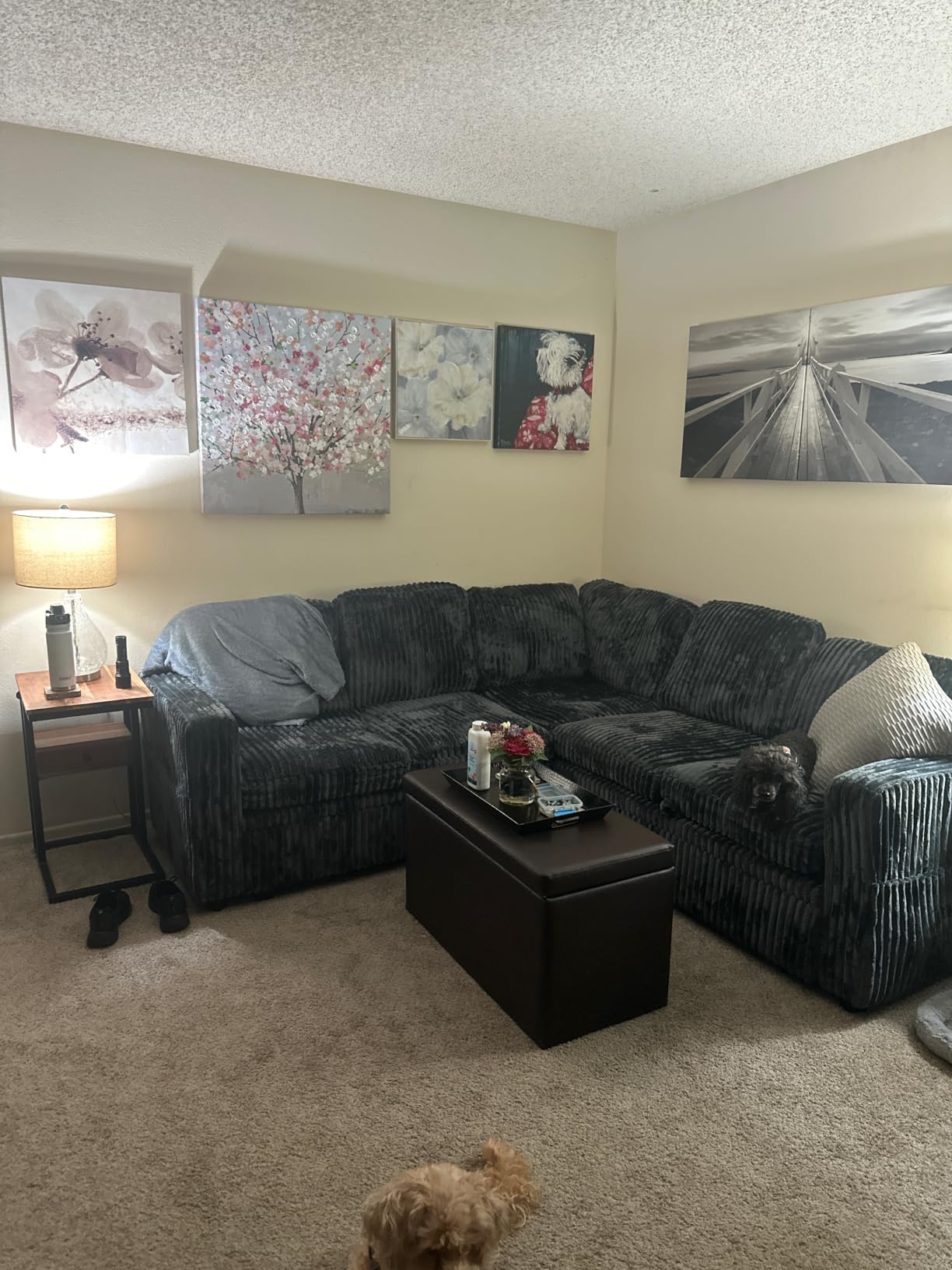 HONBAY Corduroy L Shaped Sectional Sleeper Sofa with Pull Out Bed,Green customer photo 2