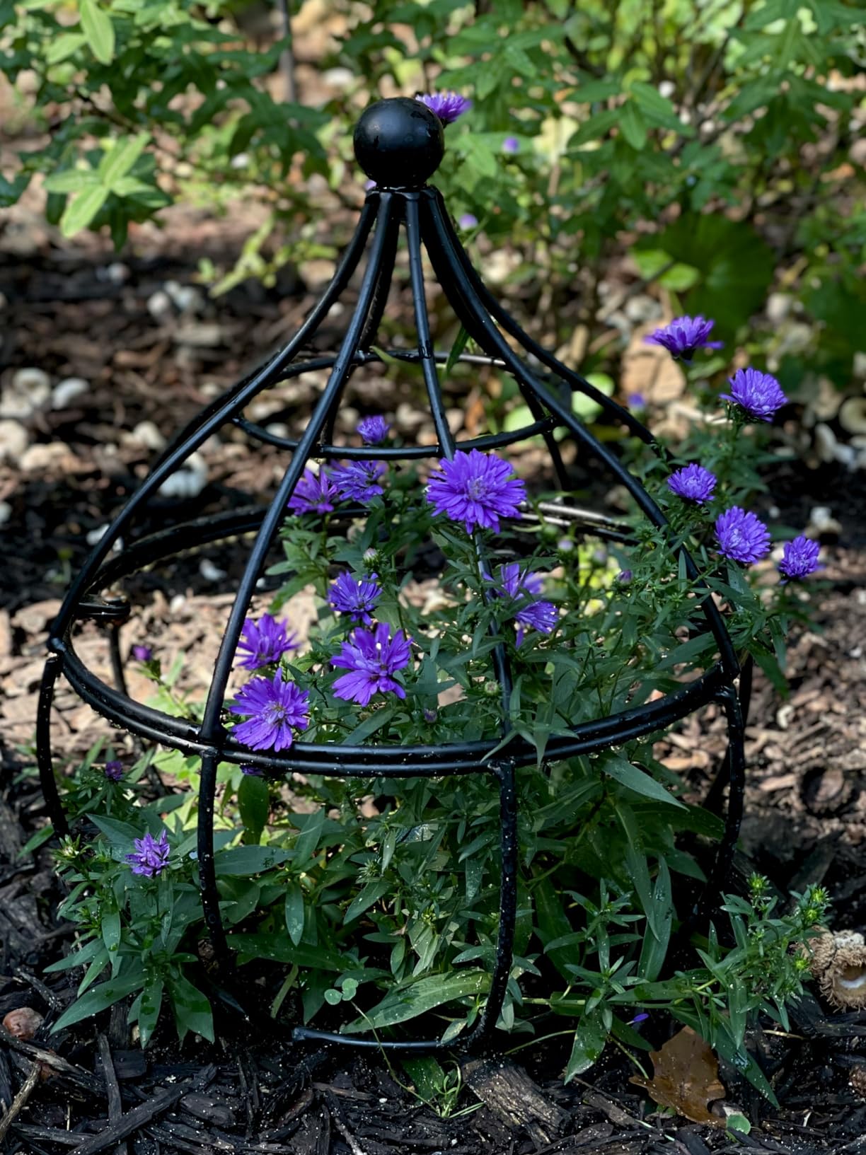 Obelisk Trellis Garden - 27