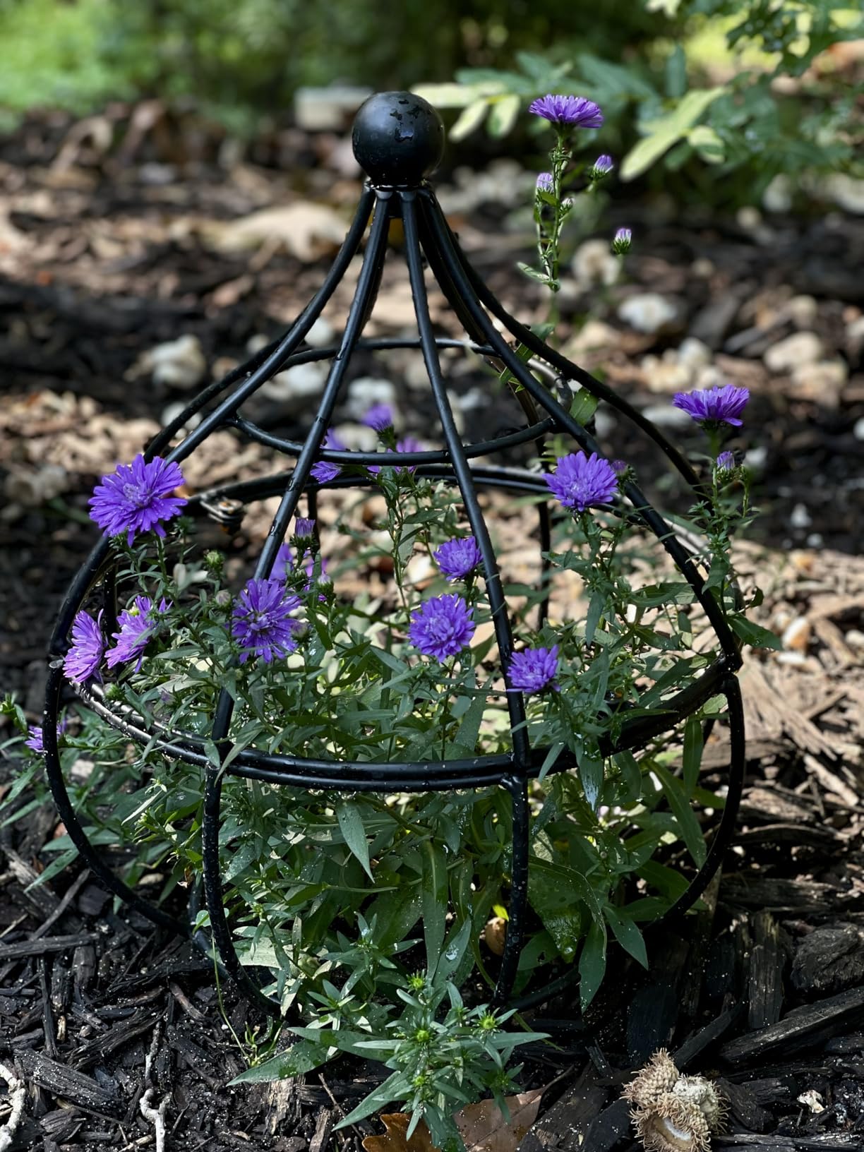 Obelisk Trellis Garden - 27