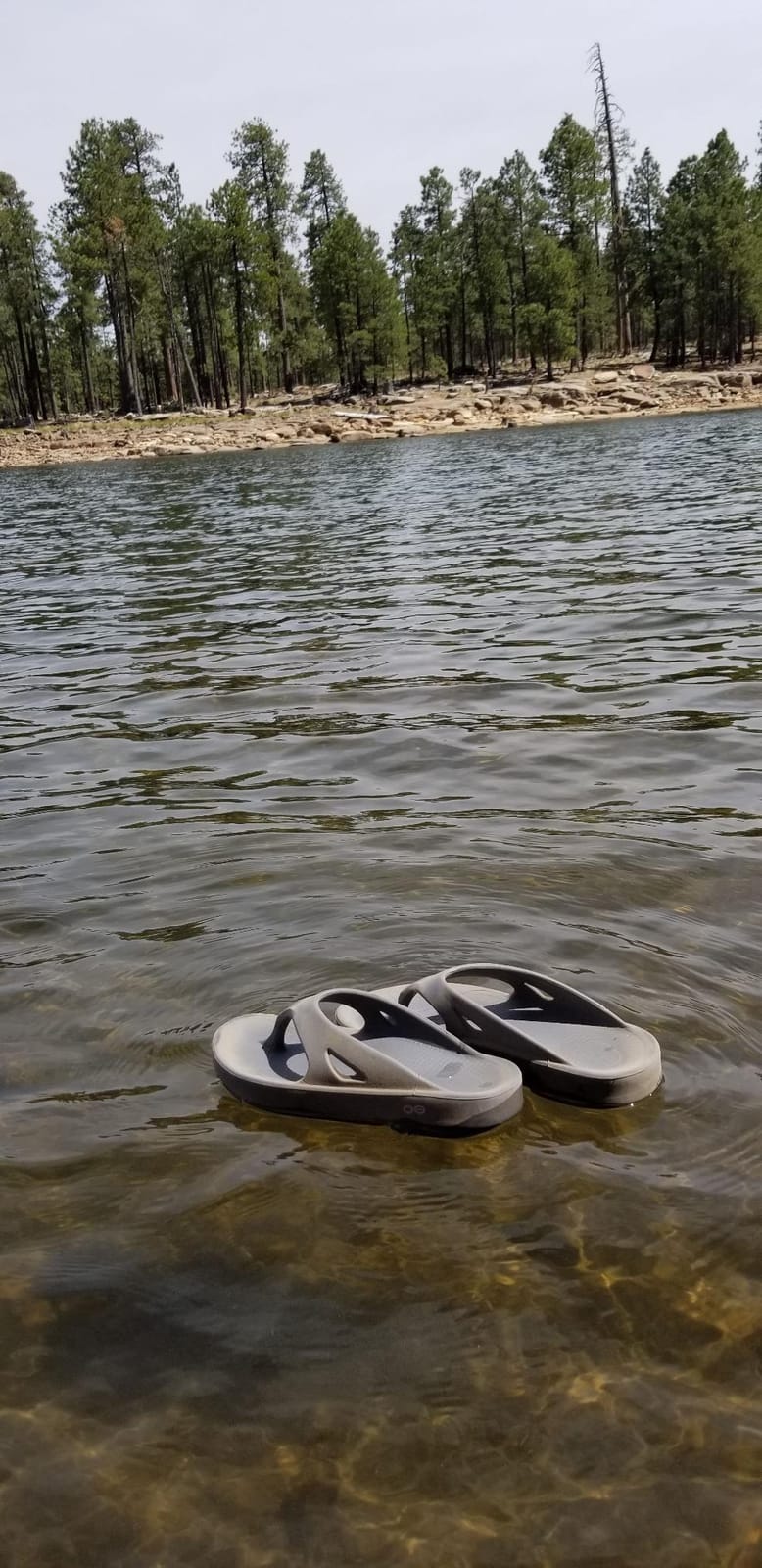 OOFOS OOlala Women's Sandal - Lightweight Recovery Footwear - Reduces Stress on Feet, Joints & Back - Machine Washable customer photo 2