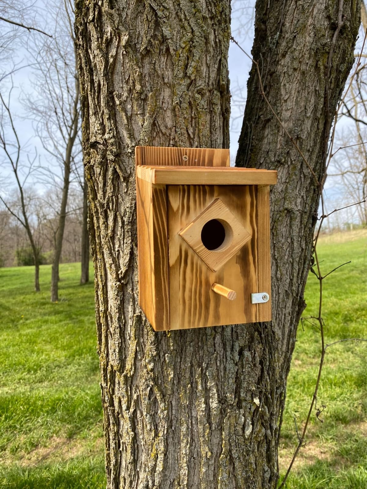 Waterproof Wooden Blue Bird House, Weather-Treated Bird Box for Outdoors customer photo 1