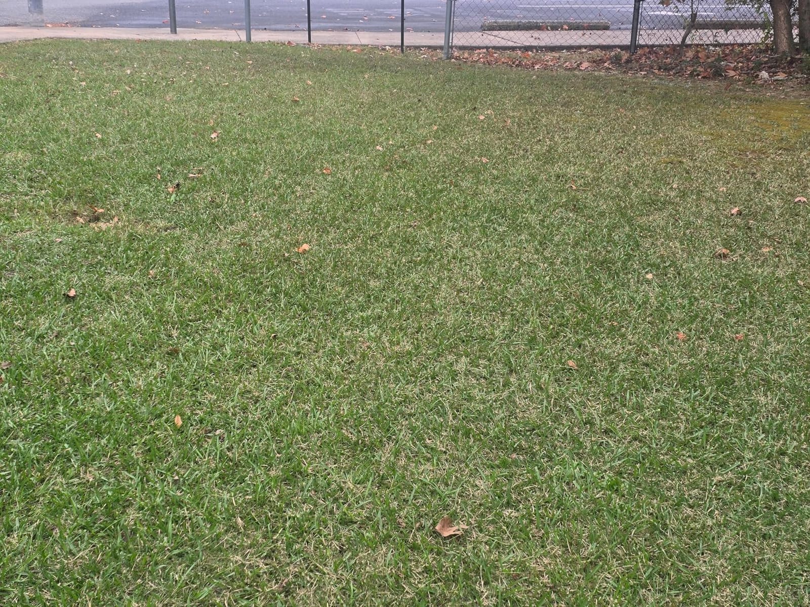 VEVOR Push Lawn Sweeper 30 in Leaf & Grass Collector 12 cu. ft. Hopper Bag customer photo 2