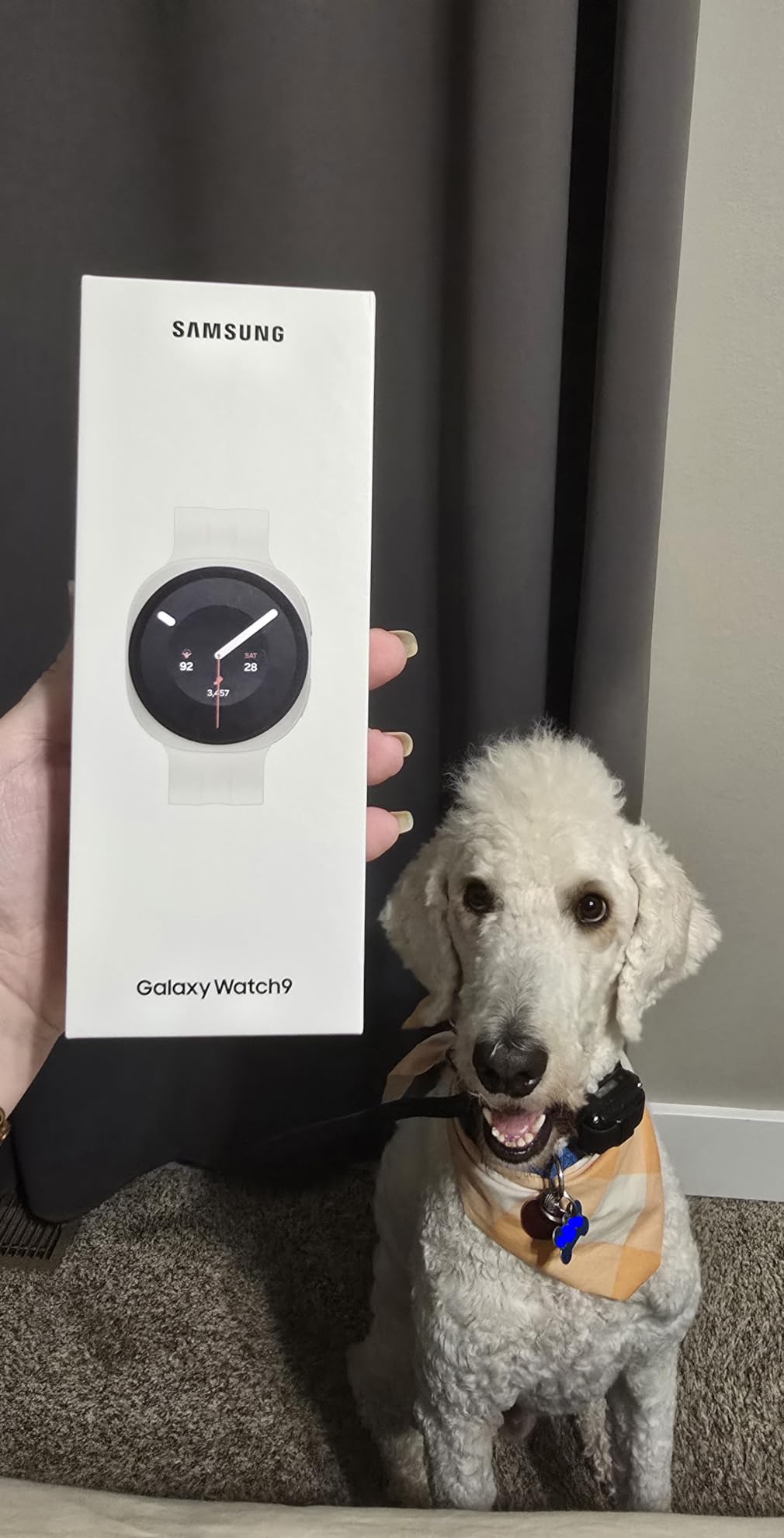Samsung Galaxy Watch9, Graphite, 40mm Bluetooth Smartwatch customer photo 1