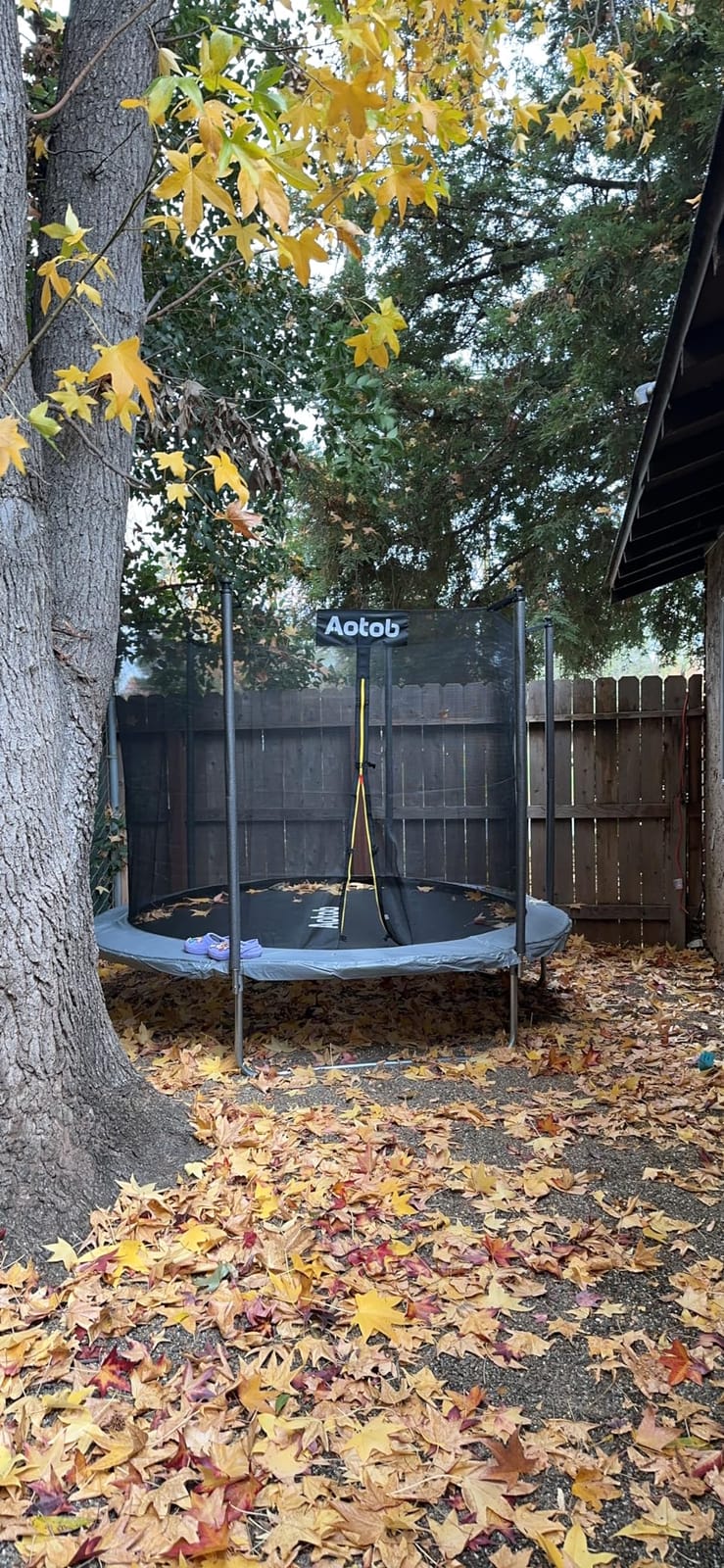 AOTOB 12 FT/14 FT Rectangle Trampoline with Net customer photo 2