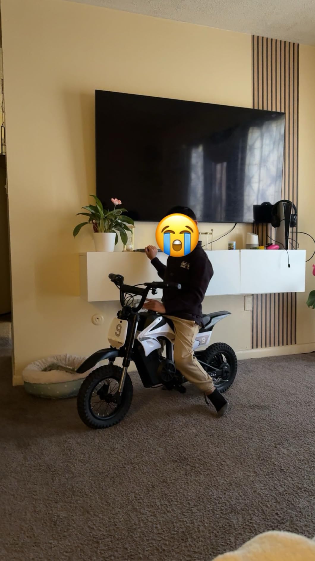 K1 Kids Electric Dirt Bike, 36V 700W Peak Motor, 16 MPH, Ages 3-8 customer photo 1