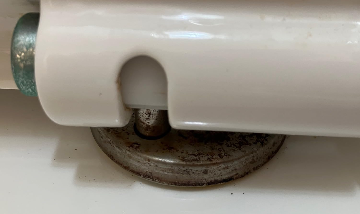DeerValley Elongated One Piece Toilet with Efficient Dual Flush 1.1/1.6 GPF customer photo 2