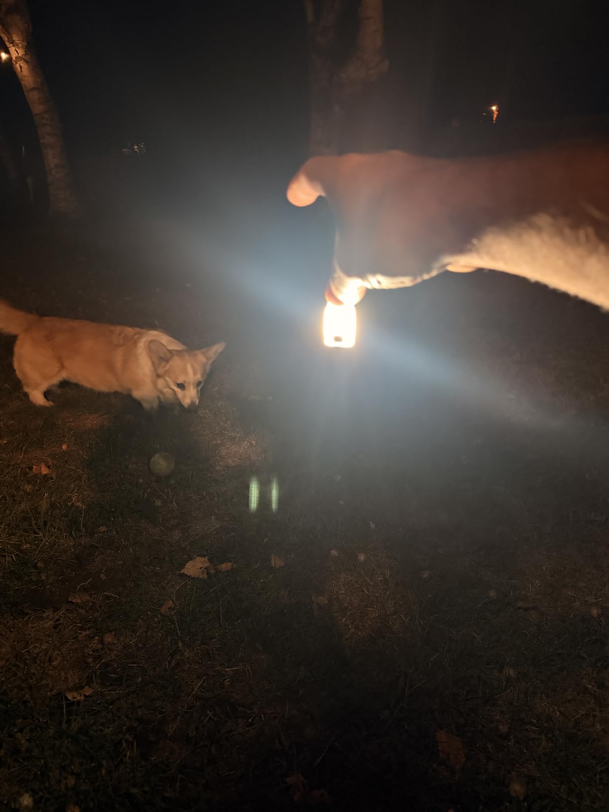 WUBEN E2 Mini EDC Flashlight Rechargeable, Small LED Keychain Flashlights customer photo 2