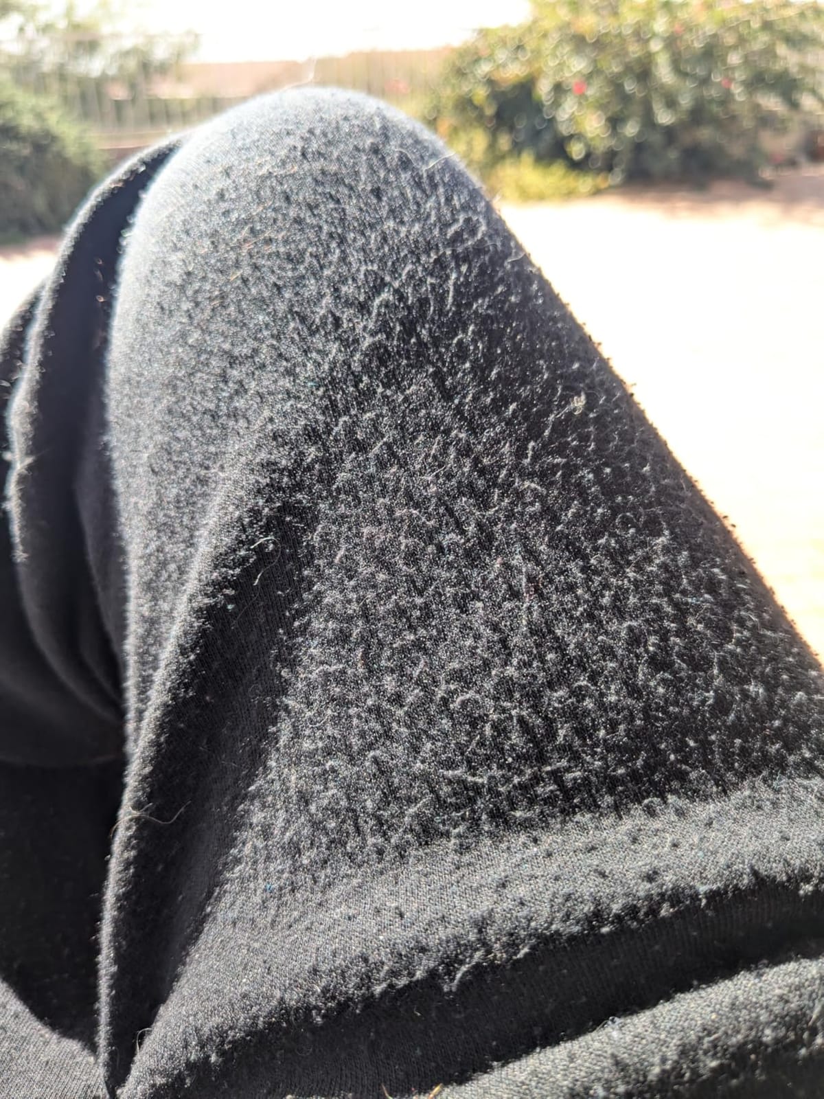 Southpole Men's Basic Fleece Jogger customer photo 1