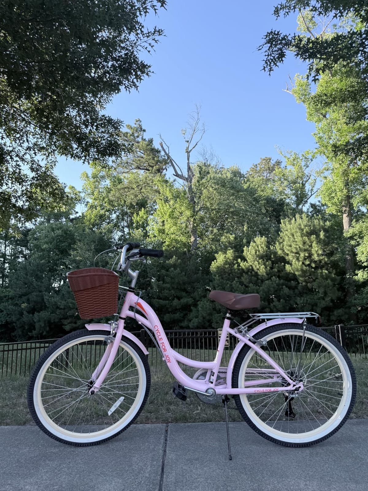 Beach Cruiser Bike for Women, Step Through Women's Bicycle customer photo 2